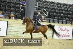24BUCK_11210 thumbnail
