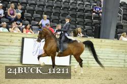 24BUCK_11211 thumbnail