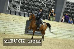 24BUCK_11214 thumbnail