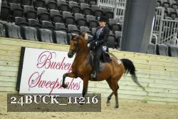 24BUCK_11216 thumbnail