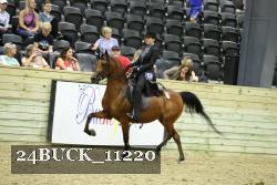 24BUCK_11220 thumbnail