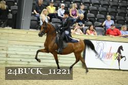 24BUCK_11221 thumbnail