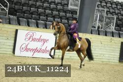24BUCK_11224 thumbnail