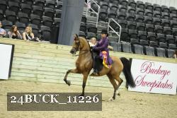 24BUCK_11226 thumbnail