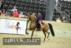 24BUCK_11227 thumbnail