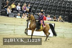 24BUCK_11228 thumbnail