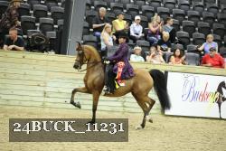 24BUCK_11231 thumbnail