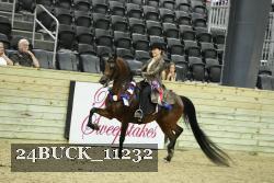24BUCK_11232 thumbnail