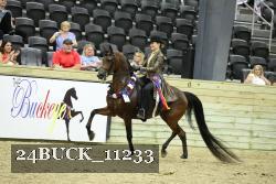 24BUCK_11233 thumbnail