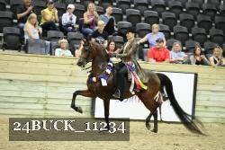 24BUCK_11234 thumbnail