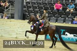 24BUCK_11239 thumbnail