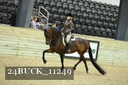 24BUCK_11249 thumbnail