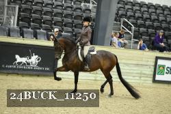 24BUCK_11250 thumbnail
