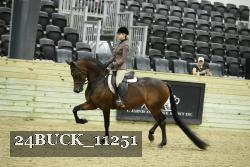 24BUCK_11251 thumbnail