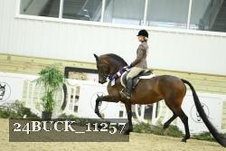 24BUCK_11257 thumbnail