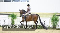 24BUCK_11258 thumbnail