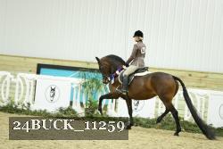 24BUCK_11259 thumbnail
