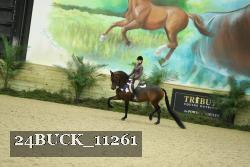 24BUCK_11261 thumbnail