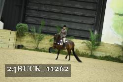 24BUCK_11262 thumbnail