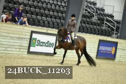 24BUCK_11263 thumbnail