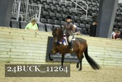 24BUCK_11264 thumbnail