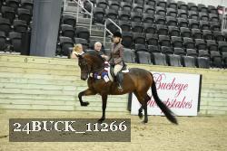 24BUCK_11266 thumbnail