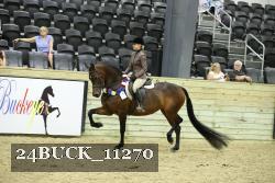 24BUCK_11270 thumbnail