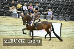 24BUCK_11271 thumbnail