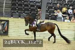 24BUCK_11272 thumbnail