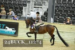 24BUCK_11274 thumbnail