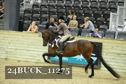 24BUCK_11275 thumbnail