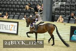 24BUCK_11278 thumbnail