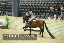 24BUCK_11279 thumbnail