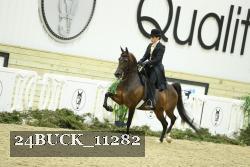 24BUCK_11282 thumbnail