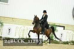24BUCK_11283 thumbnail