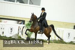 24BUCK_11284 thumbnail