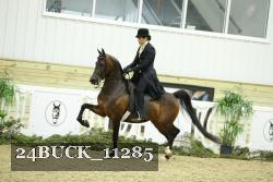 24BUCK_11285 thumbnail