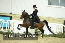 24BUCK_11286 thumbnail