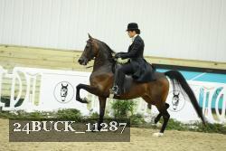 24BUCK_11287 thumbnail