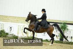 24BUCK_11288 thumbnail