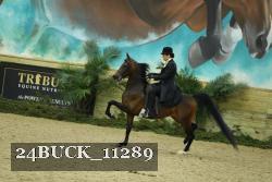 24BUCK_11289 thumbnail