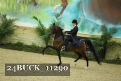 24BUCK_11290 thumbnail