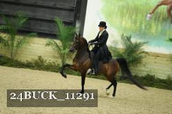 24BUCK_11291 thumbnail