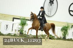24BUCK_11293 thumbnail