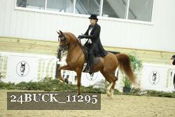 24BUCK_11295 thumbnail