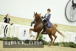 24BUCK_11296 thumbnail