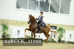 24BUCK_11299 thumbnail