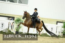 24BUCK_11304 thumbnail