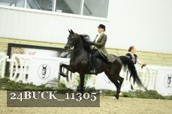 24BUCK_11305 thumbnail
