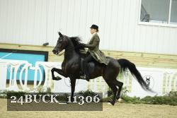 24BUCK_11306 thumbnail